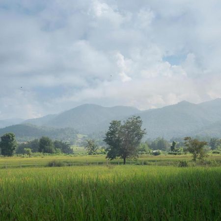 Camp View Mountain - Sell Experience By Paddy Fields Haven - Natures Nest Paj Kültér fotó
