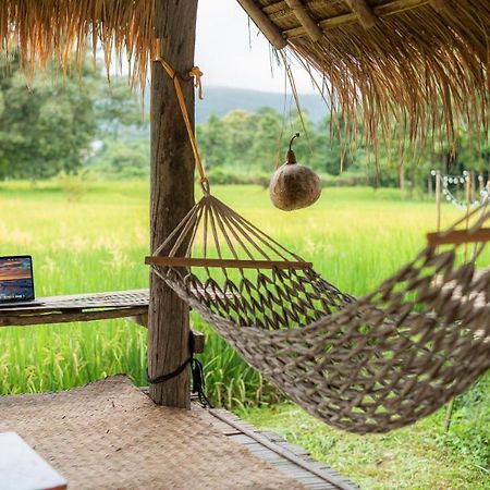 Camp View Mountain - Sell Experience By Paddy Fields Haven - Natures Nest Paj Kültér fotó