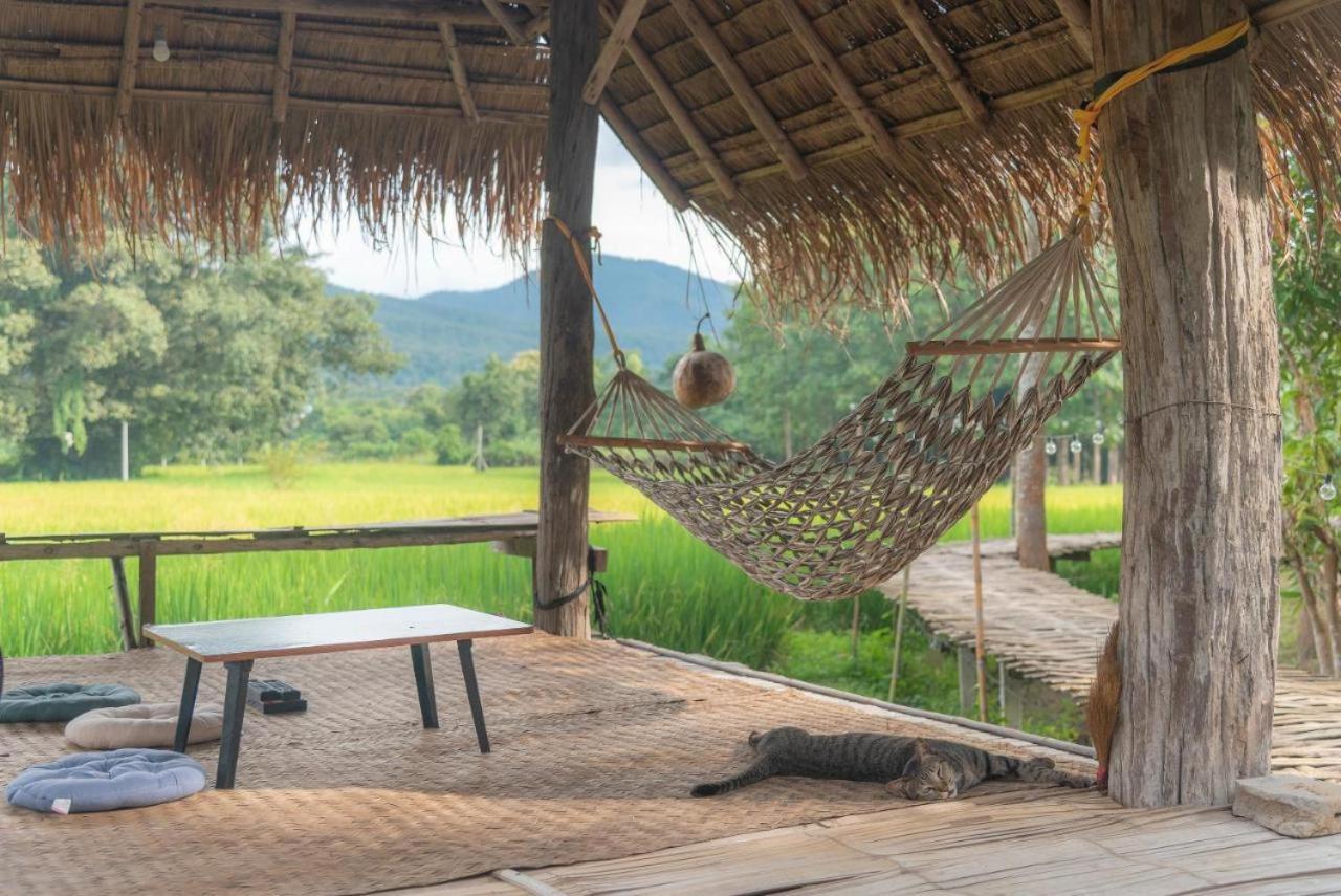 Camp View Mountain - Sell Experience By Paddy Fields Haven - Natures Nest Paj Kültér fotó